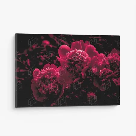 Quadro su tela peonie rosse in controluce • Wallissimo®