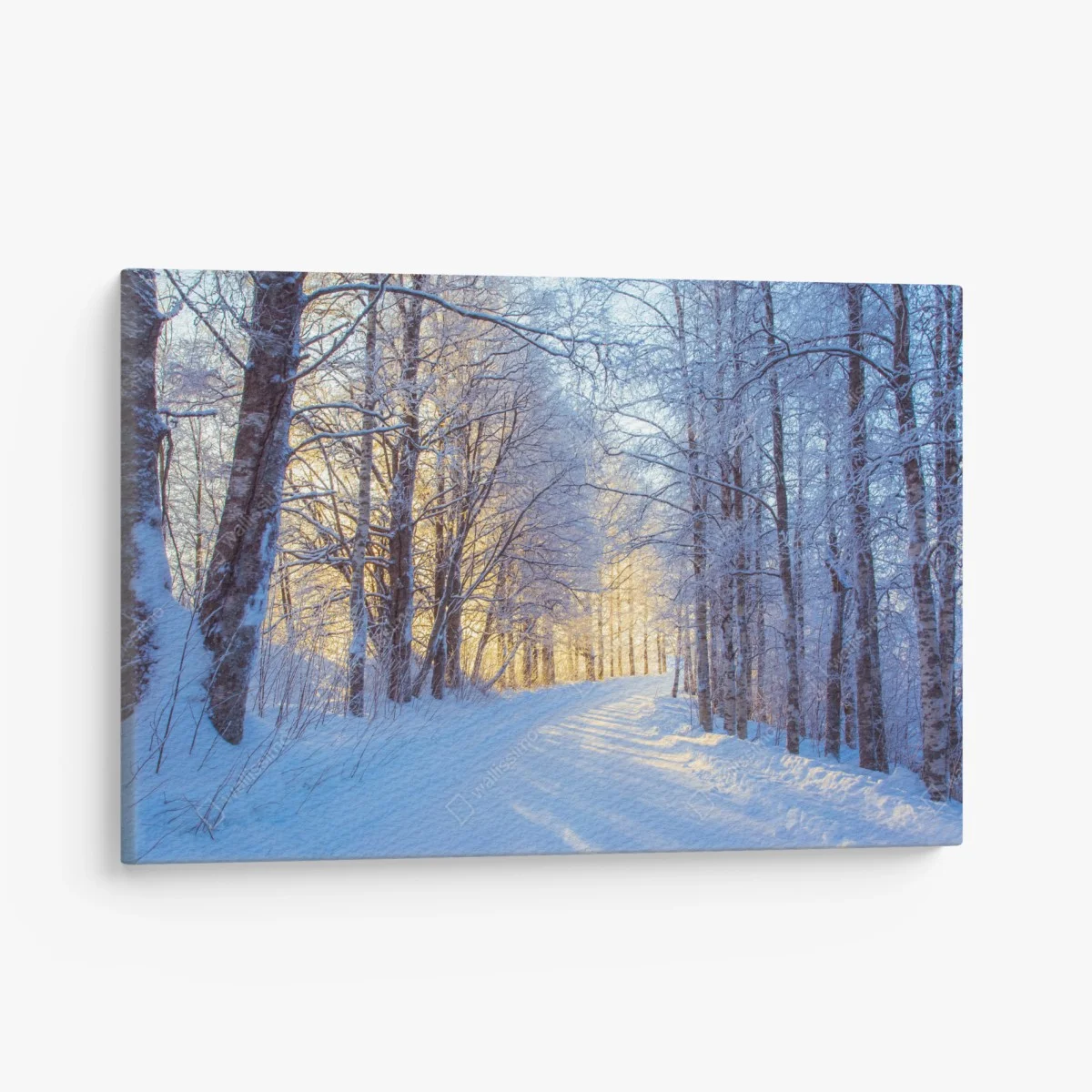 Quadro su tela bosco innevato alla luce dorata • Wallissimo® Quadro su tela bosco innevato alla luce dorata • Wallissimo®