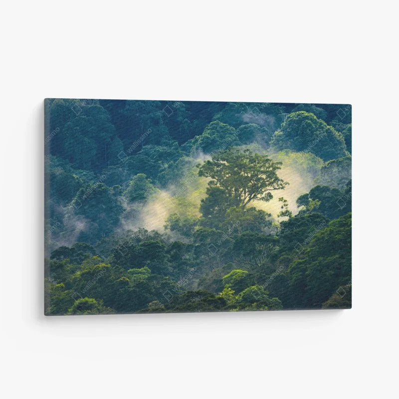 Quadro su tela chioma dorata nella foresta mistica