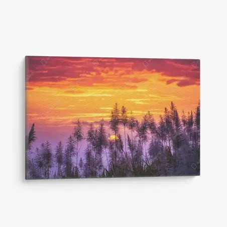 Quadro su tela tramonto dorato tra le canne • Wallissimo®