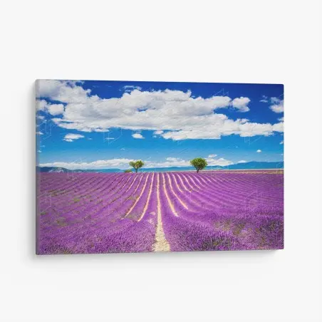 Quadro su tela campo di lavanda a Valensole, Provenza • Wallissimo®