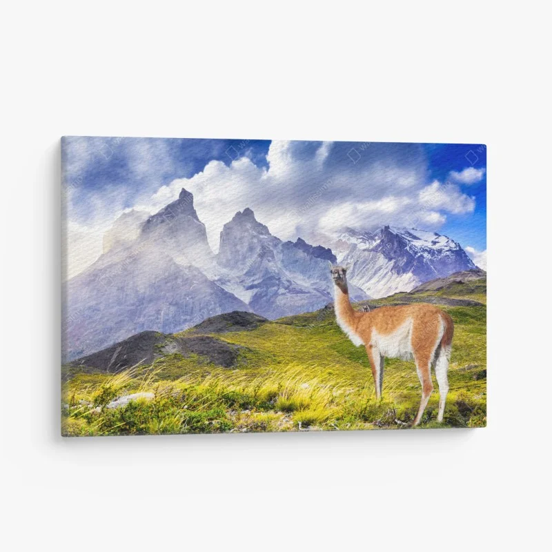 Quadro su tela quiete patagonica a Torres del Paine