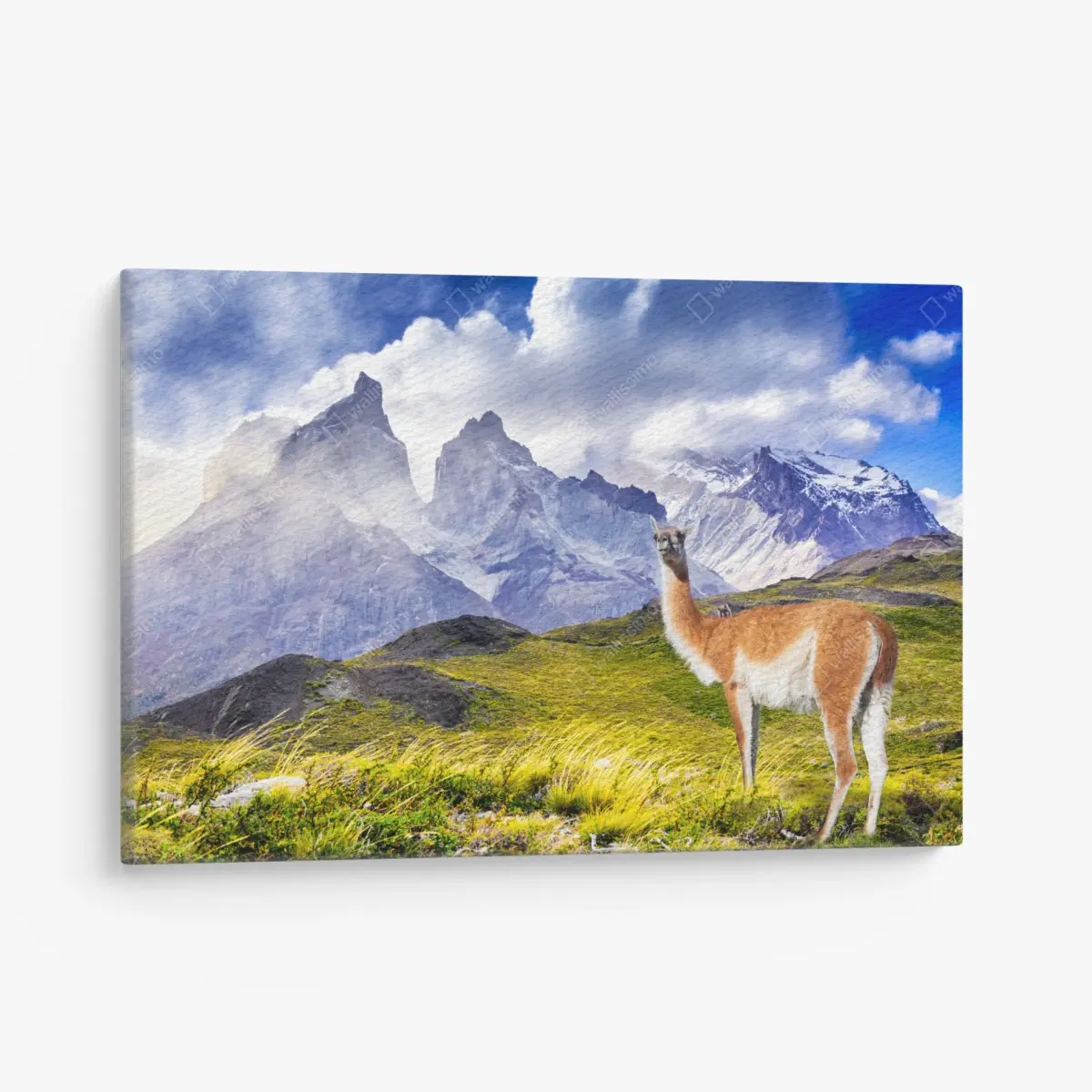 Quadro su tela quiete patagonica a Torres del Paine • Wallissimo®