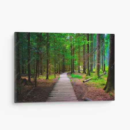 Quadro su tela sentiero nel bosco verde • Wallissimo®