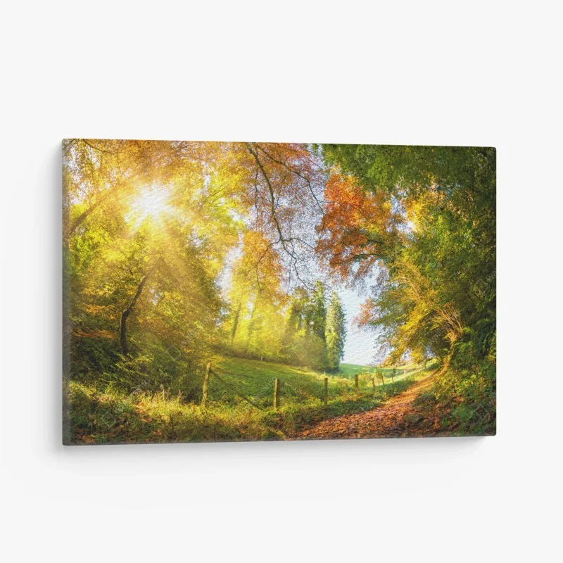 Quadro su tela sentiero d'autunno nel bosco