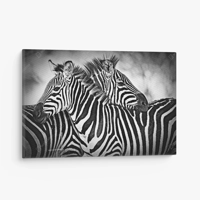 Quadro su tela intreccio di righe: zebre in bianco e nero