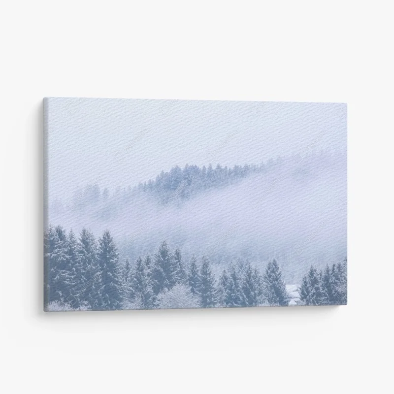 Quadro su tela nebbia sulla foresta di conifere innevata