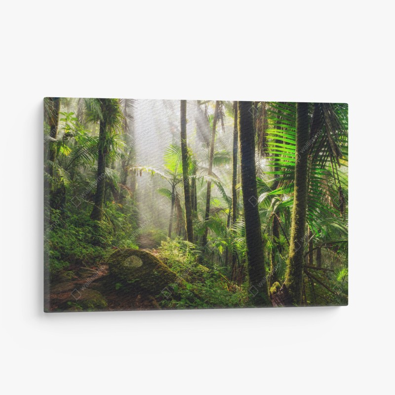Quadro su tela foresta pluviale al chiarore del mattino