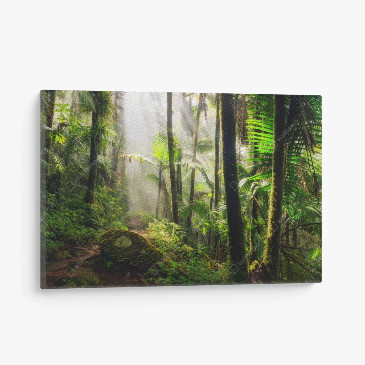 Quadro su tela foresta pluviale al chiarore del mattino • Wallissimo® Quadro su tela foresta pluviale al chiarore del mattino • Wallissimo®