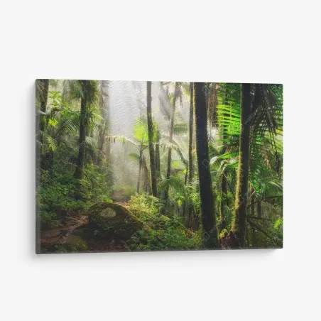 Quadro su tela foresta pluviale al chiarore del mattino • Wallissimo®