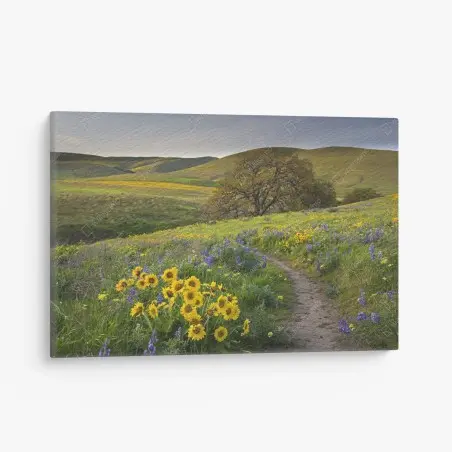 Quadro su tela sentiero tra i fiori selvatici sulle colline • Wallissimo®