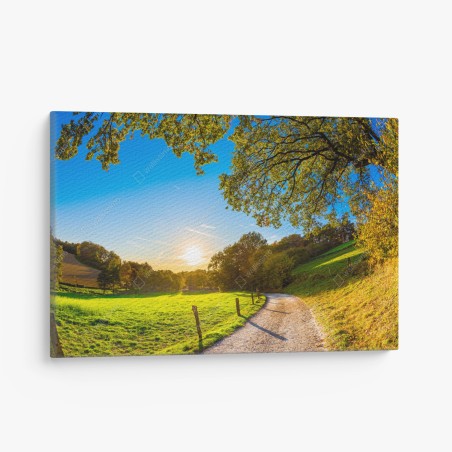 Quadro su tela sentiero dorato nella valle al tramonto • Wallissimo®