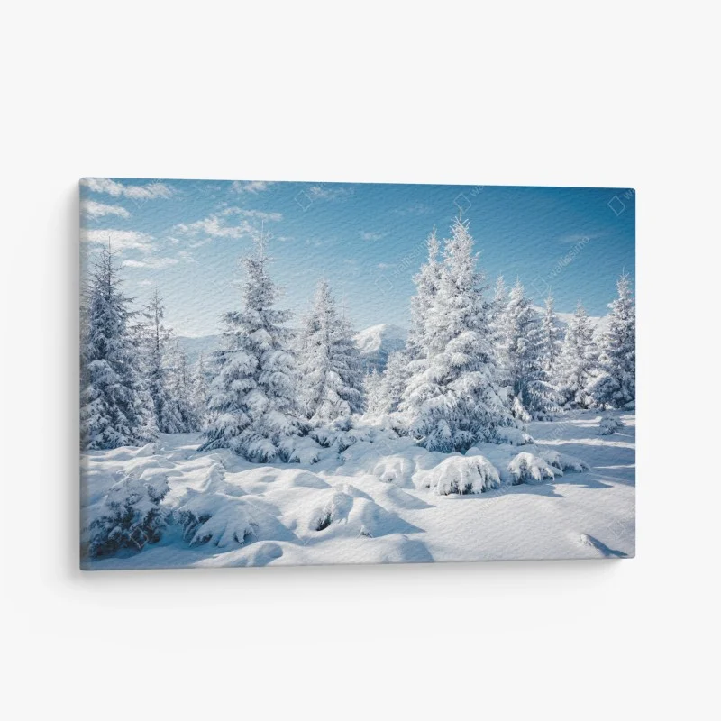 Quadro su tela silenzio innevato nei Carpazi, Ucraina