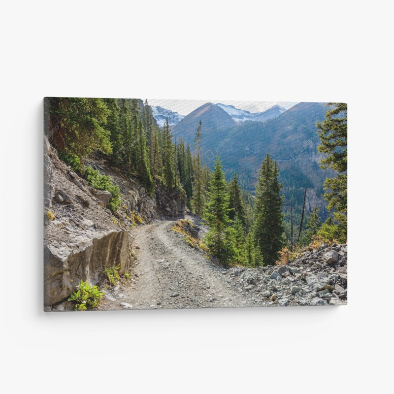 Quadro su tela sentiero di montagna tra conifere e rocce
