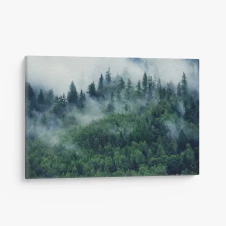 Quadro su tela foresta avvolta dalla nebbia • Wallissimo®