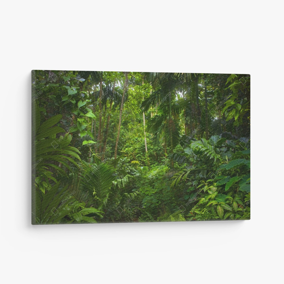 Quadro su tela rifugio nella giungla lussureggiante • Wallissimo®