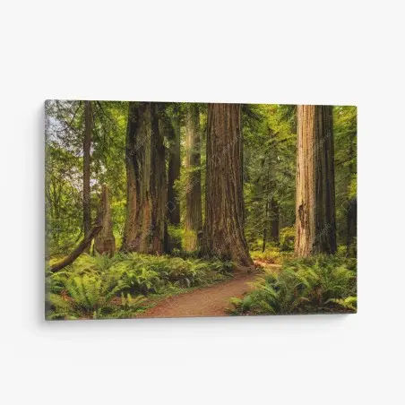 Quadro su tela silenzio tra le sequoie della California • Wallissimo®