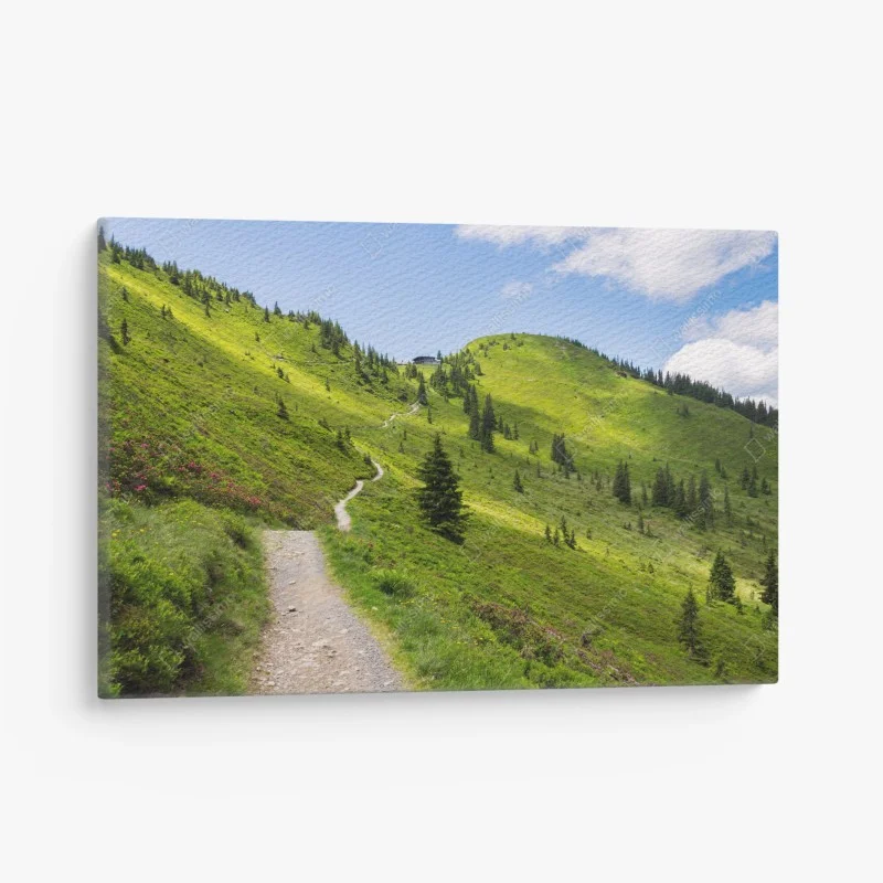 Quadro su tela sentiero tra colline verdi e cielo azzurro