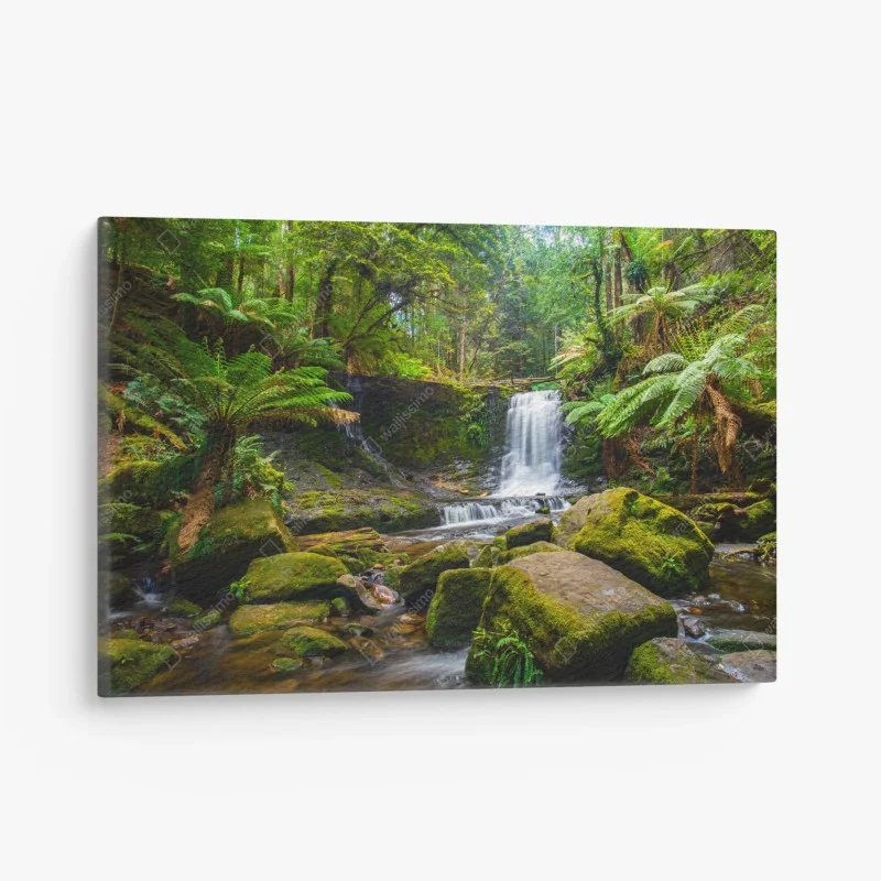 Quadro su tela cascata nella foresta incontaminata