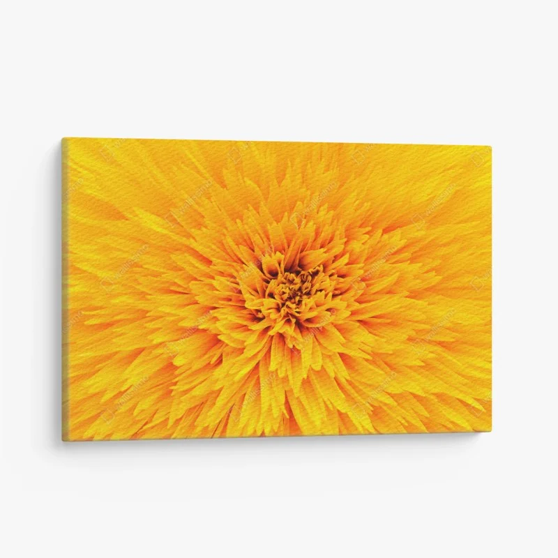 Quadro su tela esplosione di petali: texture di girasole per arredo
