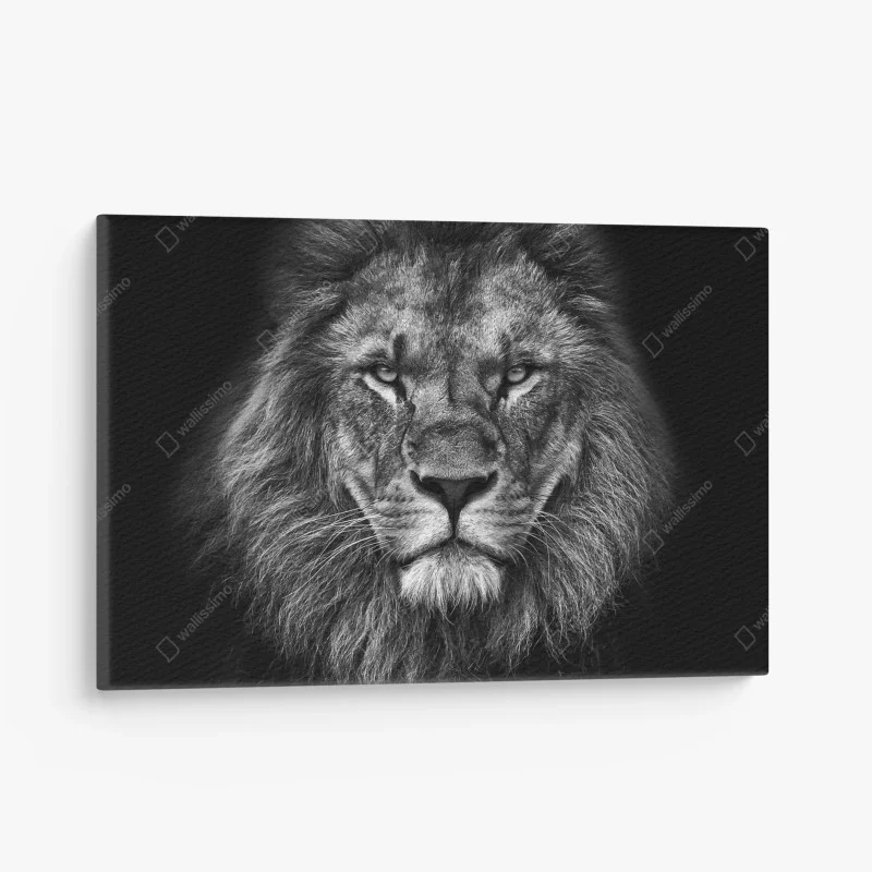Quadro su tela ritratto maestoso di leone in bianco e nero