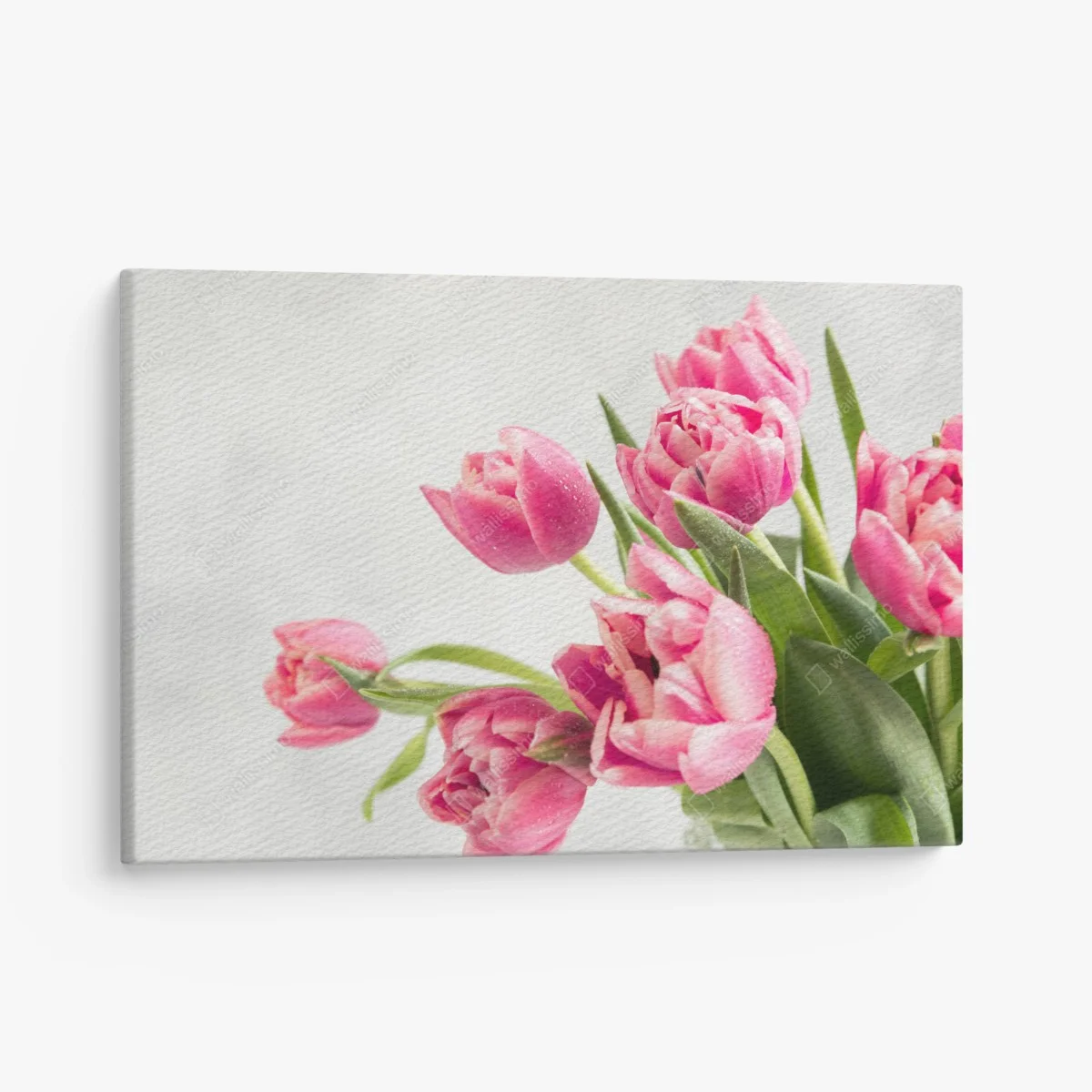 Quadro su tela tulipani rosa con gocce di rugiada • Wallissimo® Quadro su tela tulipani rosa con gocce di rugiada • Wallissimo®