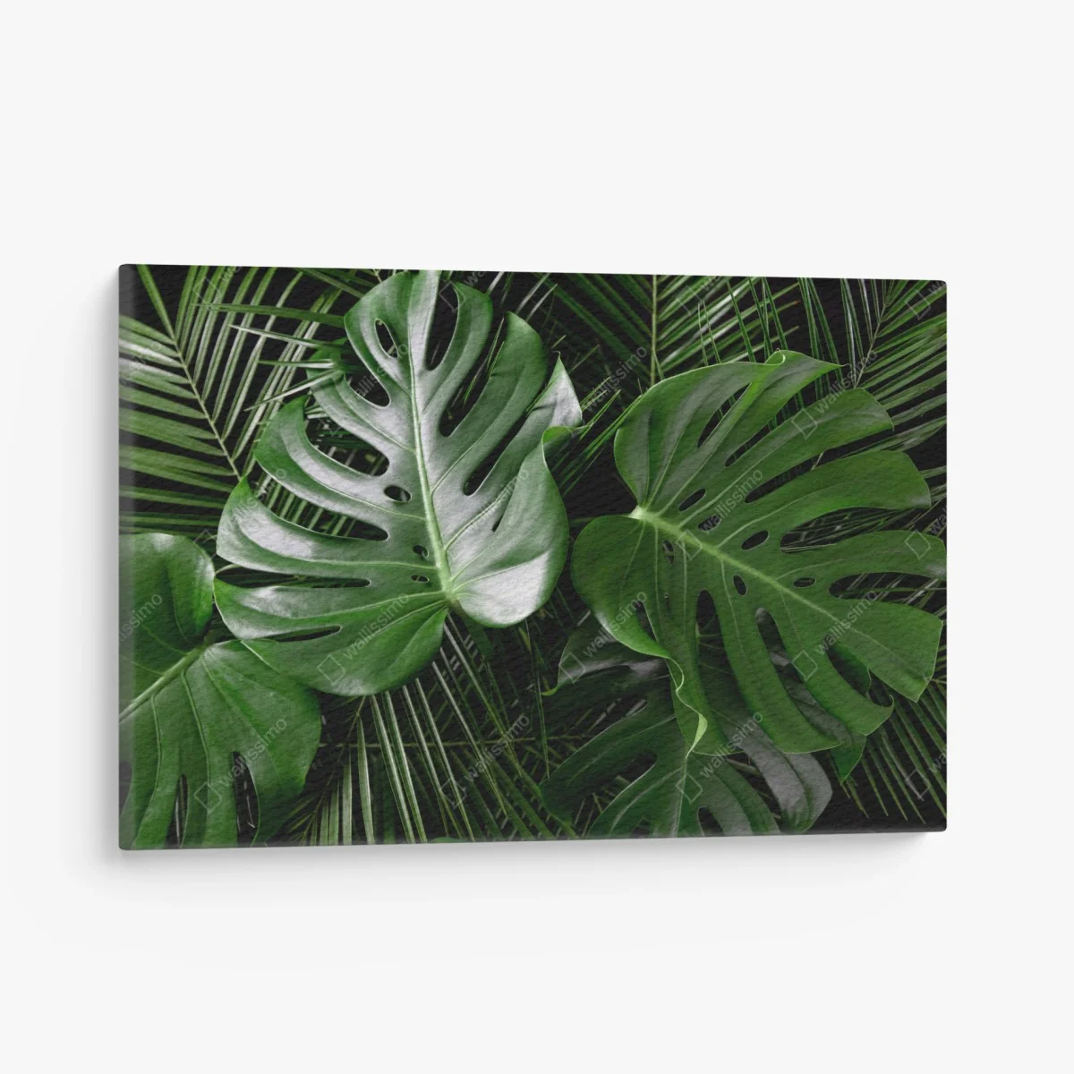 Quadro su tela composizione di foglie di monstera e palma • Wallissimo® Quadro su tela composizione di foglie di monstera e palma • Wallissimo®