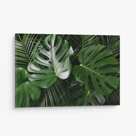 Quadro su tela composizione di foglie di monstera e palma • Wallissimo®