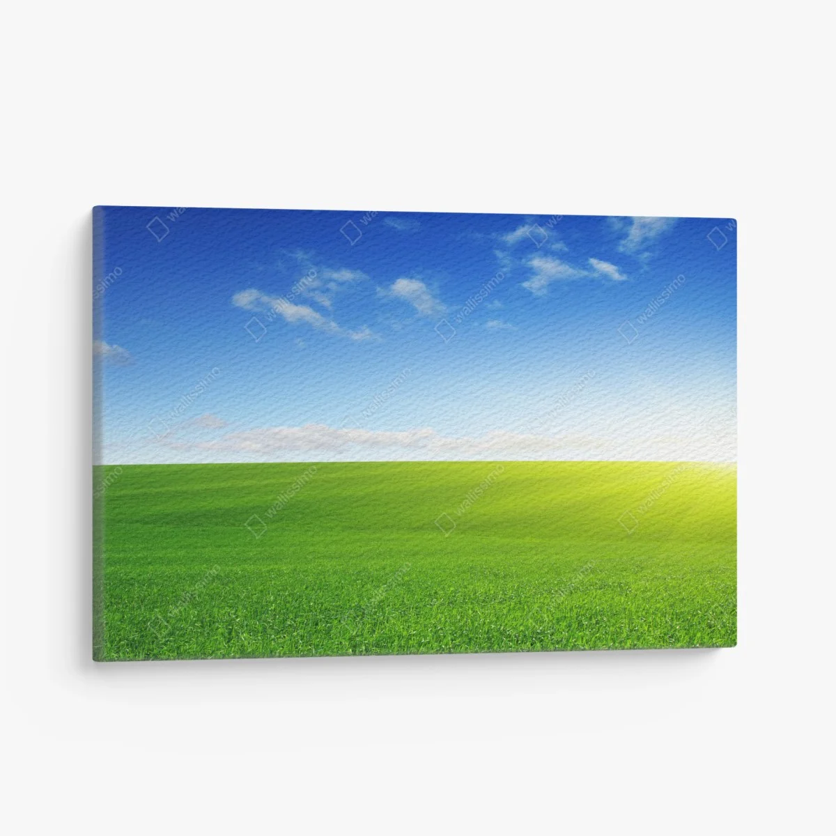 Quadro su tela prato verde all'orizzonte con cielo azzurro • Wallissimo® Quadro su tela prato verde all'orizzonte con cielo azzurro • Wallissimo®