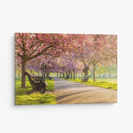 Quadro su tela viale di ciliegi in fiore al tramonto • Wallissimo®
