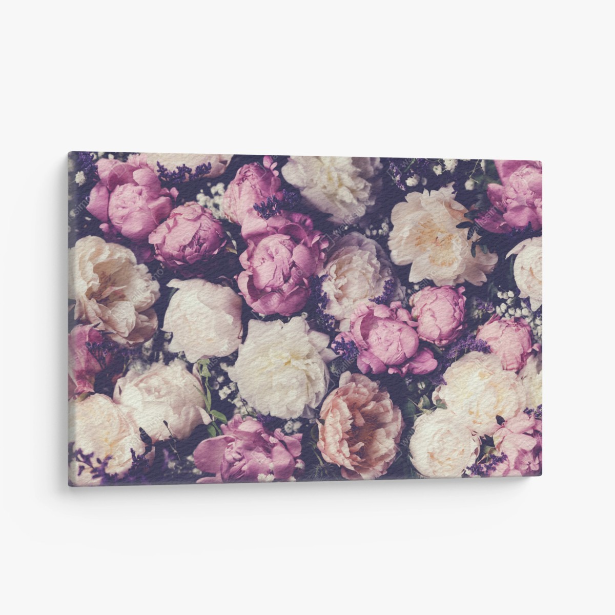 Quadro su tela composizione romantica di peonie rosa e crema • Wallissimo®