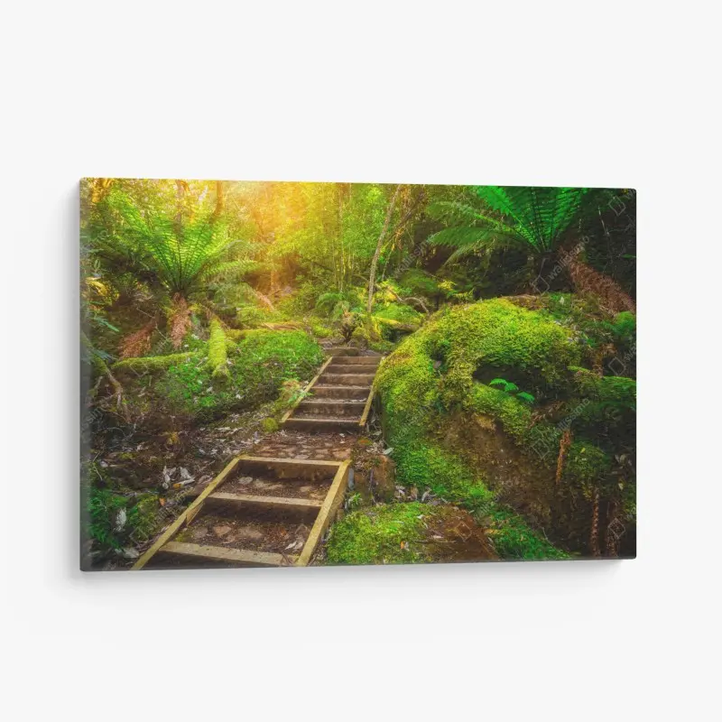 Quadro su tela sentiero incantato nella penisola di Tasman, Tasmania