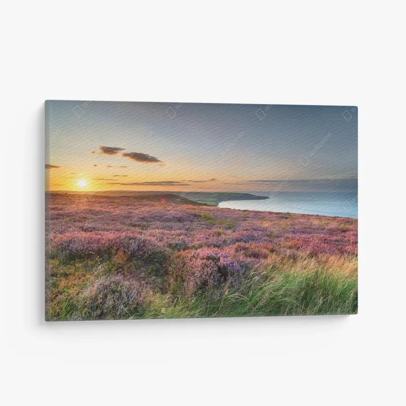 Quadro su tela tramonto sulla brughiera dei North York Moors sopra Ravenscar con vista su Robin Hood's Bay
