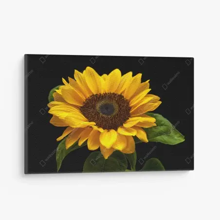 Quadro su tela girasole solare su sfondo nero • Wallissimo®