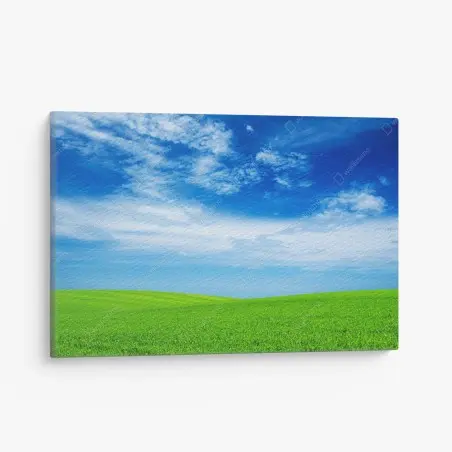 Quadro su tela prato verde sotto il cielo azzurro • Wallissimo®