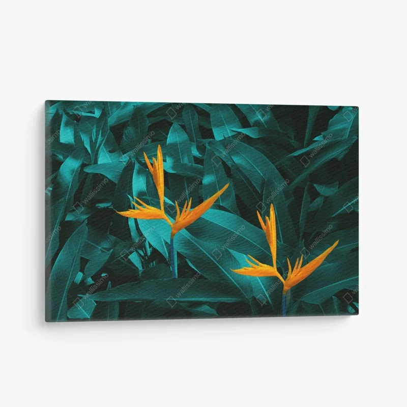 Quadro su tela esotico contrasto turchese e arancione