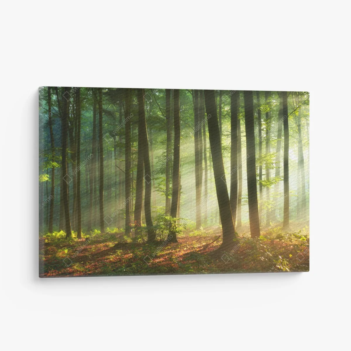 Quadro su tela mattina dorata nel bosco • Wallissimo® Quadro su tela mattina dorata nel bosco • Wallissimo®