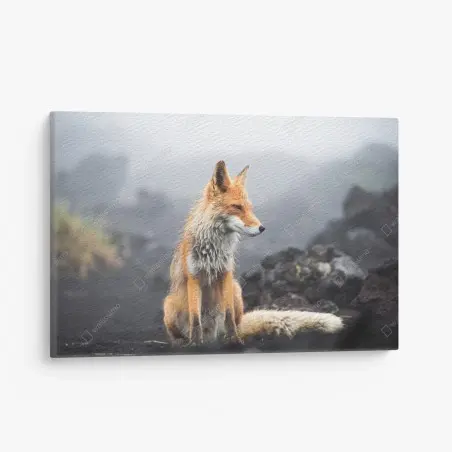 Quadro su tela ritratto di volpe nella nebbia • Wallissimo®