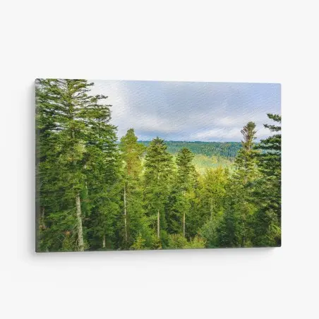 Quadro su tela panorama autunnale della Foresta Nera • Wallissimo®