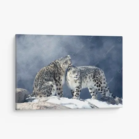 Quadro su tela intimità alpina: leopardi delle nevi in coppia • Wallissimo®