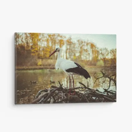 Quadro su tela cicogna solitaria al lago in autunno • Wallissimo®