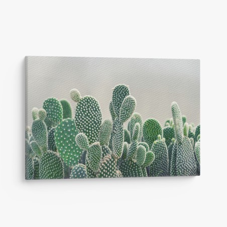 Quadro su tela texture di opuntia: stampa botanica verde • Wallissimo®