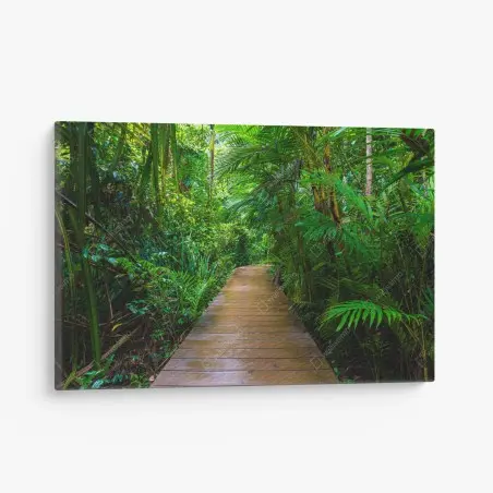 Quadro su tela sentiero di legno nella foresta di mangrovie • Wallissimo®