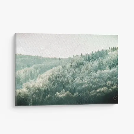 Quadro su tela silenzio luminoso della foresta innevata • Wallissimo®