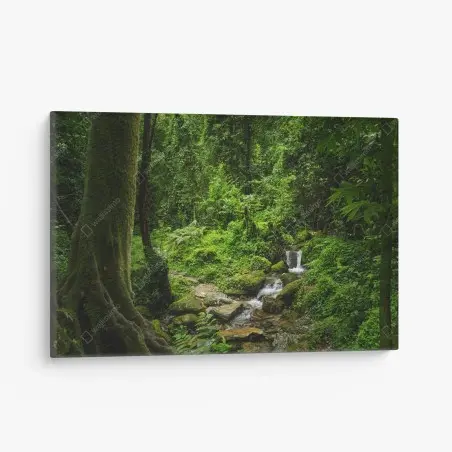 Quadro su tela rifugio verde nella foresta pluviale • Wallissimo®