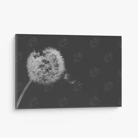 Quadro su tela soffione sospeso in bianco e nero • Wallissimo®