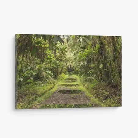 Quadro su tela sentiero nascosto nella foresta pluviale • Wallissimo®