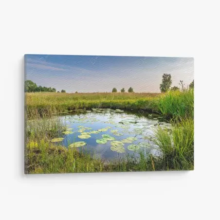 Quadro su tela riflessi sullo stagno di ninfee • Wallissimo®