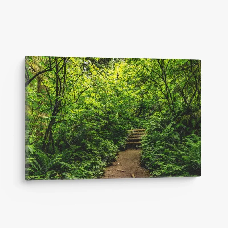 Quadro su tela sentiero nel bosco lussureggiante