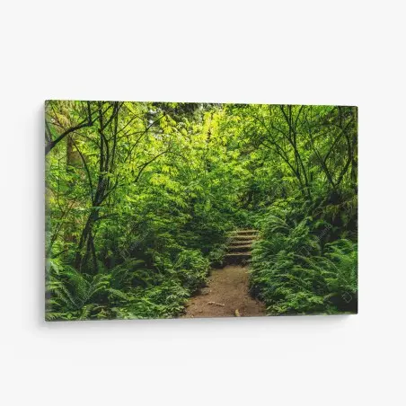 Quadro su tela sentiero nel bosco lussureggiante • Wallissimo®